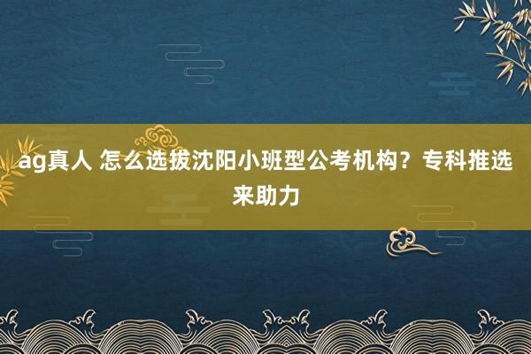 ag真人 怎么选拔沈阳小班型公考机构？专科推选来助力