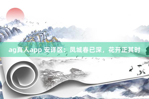 ag真人app 安详区：凤城春已深，花开正其时