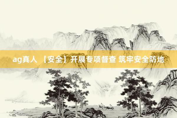 ag真人 【安全】开展专项督查 筑牢安全防地