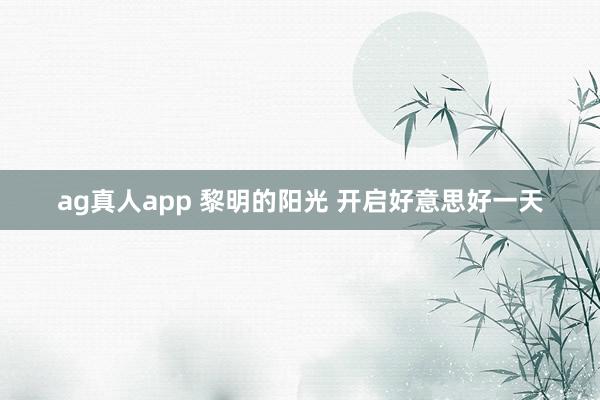 ag真人app 黎明的阳光 开启好意思好一天