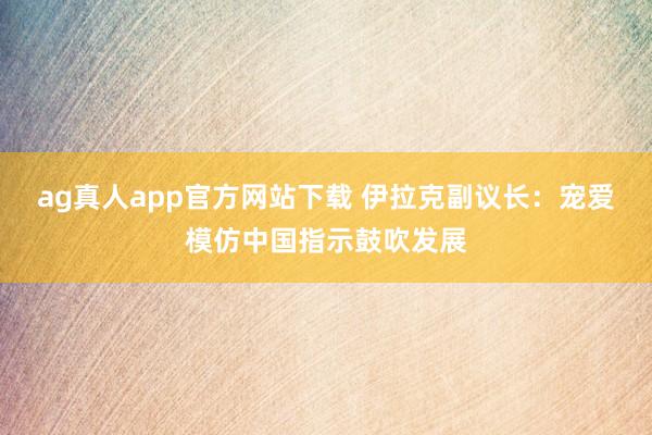 ag真人app官方网站下载 伊拉克副议长：宠爱模仿中国指示鼓吹发展