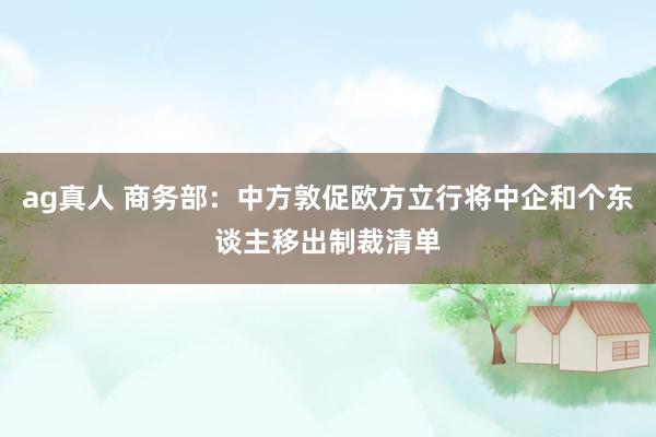 ag真人 商务部：中方敦促欧方立行将中企和个东谈主移出制裁清单