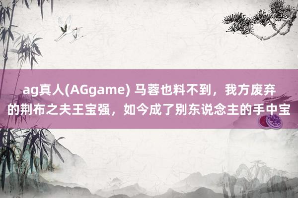 ag真人(AGgame) 马蓉也料不到，我方废弃的荆布之夫王宝强，如今成了别东说念主的手中宝