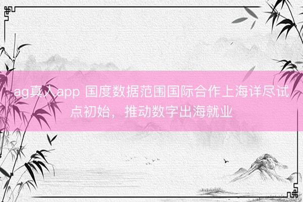 ag真人app 国度数据范围国际合作上海详尽试点初始，推动数字出海就业