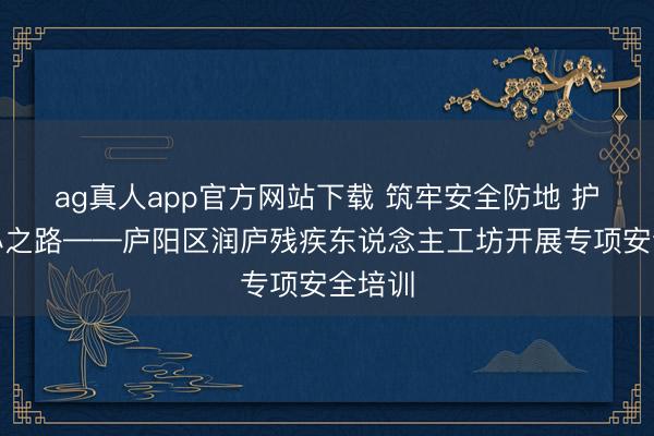 ag真人app官方网站下载 筑牢安全防地 护航匠心之路——庐阳区润庐残疾东说念主工坊开展专项安全培训