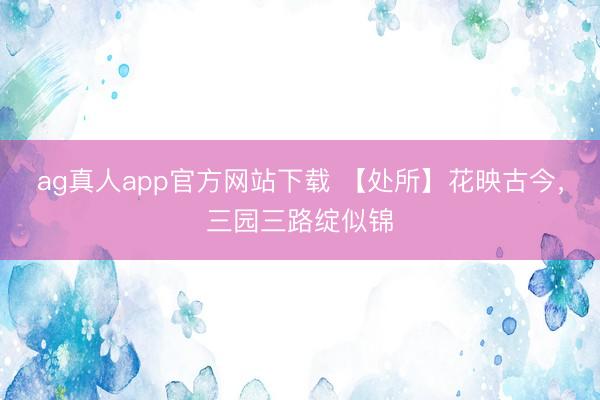 ag真人app官方网站下载 【处所】花映古今，三园三路绽似锦