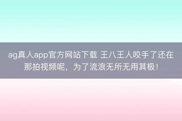 ag真人app官方网站下载 王八王人咬手了还在那拍视频呢，为了流浪无所无用其极！